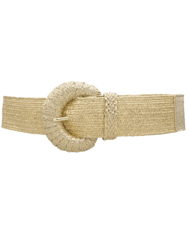 Metallic Woven Belt on white background front view.