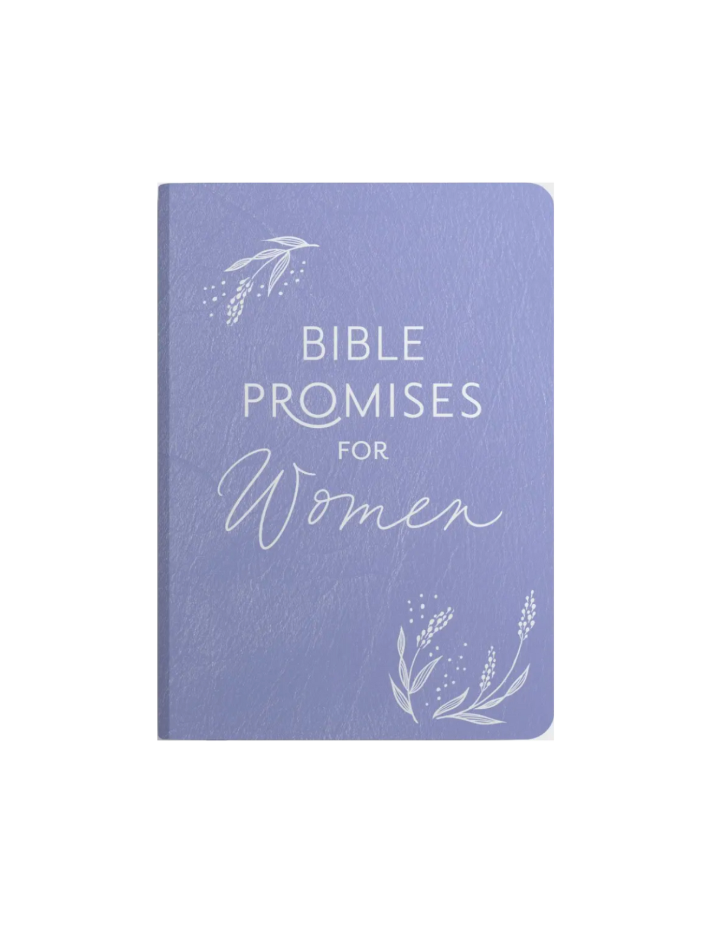 Blue "Bible Promises for Women" book front cover.