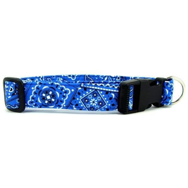 Bright Blue Bandana Dog Collar | Fruit of the Vine Boutique 