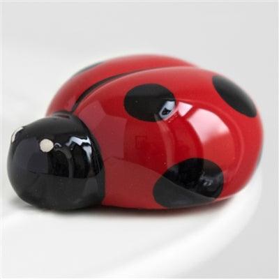 Close up of ladybug mini